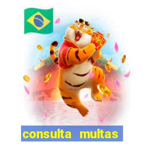 consulta multas detran mg